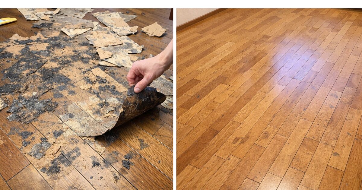 ピタフィーを剥がした後